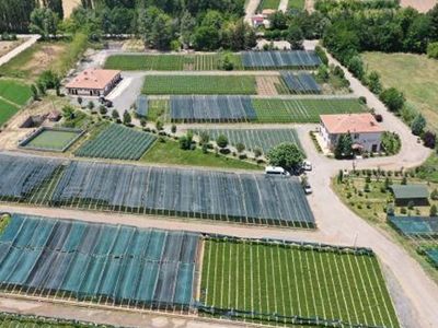 Yeşil Vatan İçin 273 Milyon Fidan Üretimi Yapıldı