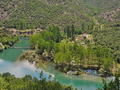 Yeşilırmak'ta Balık Ölümleri!