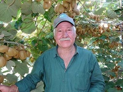 Kiviye Asya ve Avrupa Ülkelerinden Yoğun Talep