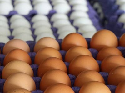 Yumurta fiyatları cep yakıyor: Bir tanesi 5 TL oldu! Yumurta adedi değiştirildi