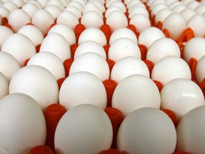 Yumurta ücretleri ne kadar? Yumurta fiyatlarına zam geldi, işte güncel fiyatlar
