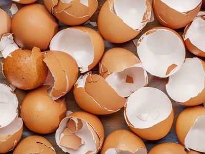 Yumurta kabuğunun insana faydaları nelerdir?