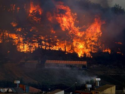 Yunanistan yangını can aldı: 1 kişi hayatını kaybetti
