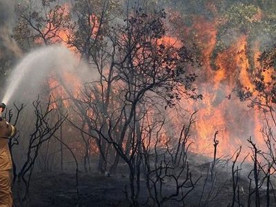 Yunanistan’da yangın alarmı: Bölgede çok sayıda ekip görev aldı!