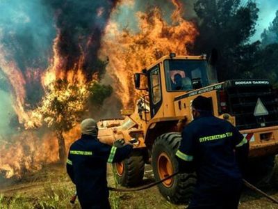 Yunanistan’daki Orman Yangınlarında Korkunç Bilanço Açıklandı