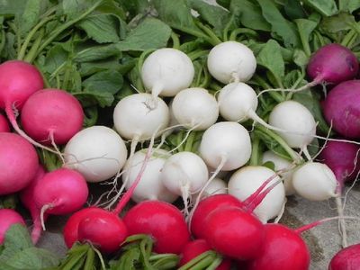 Zatürrenin izlerini kolayca siliyor: Akciğer hastalıklarının en büyük düşmanı