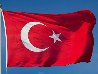 Zeytin Dalı Harekat Bölgesinde 2 Asker Şehit Oldu
