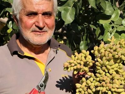 26 Yıl Önce Hobi Olarak Fıstık Yetiştirmeye Başladı, Şimdi Dünyaya İhraç Ediyor