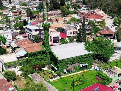 Adana’daki Köprüköy Camii, Baharın Gelmesiyle Tekrardan Sarmaşıklarına Kavuştu 