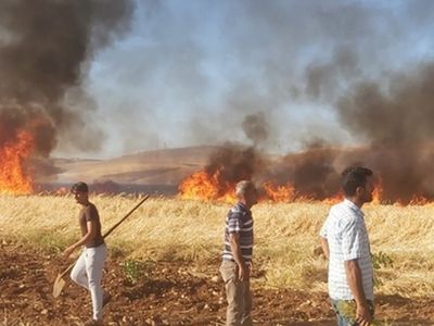 Adıyaman’da Birçok Noktada Yangın Çıktı: Vatandaşlar Dumandan Zehirlenerek Hastaneye Kaldırıldı!