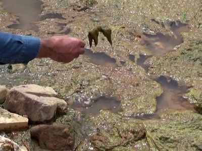 Alibeyköy Barajına Akan Kirli Dere Vatandaşın Sağlığını Kötü Etkiliyor