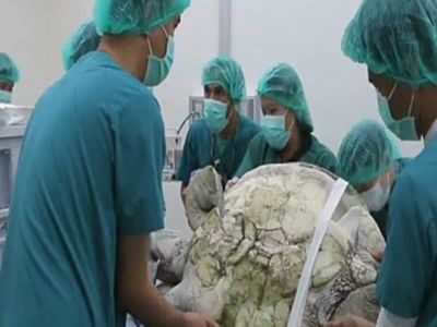 Midesini Açtılar Bakın İçinden Neler Çıktı