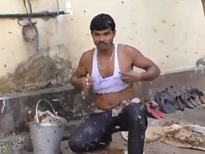 Arılarla Korkusuzca Oynayan Adam