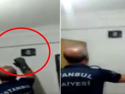 Avcılar'da Apartmana 1 Metre Boyunda Yılan Girdi
