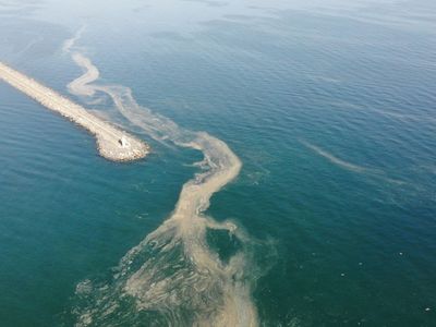 Bakan Kurum Marmara Denizi'ndeki Deniz Salyası İle İlgili Açıklama Yaptı!