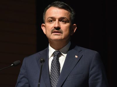 Bakan Pakdemirli 'Otel Yapılacak' İddialarına Sert Çıktı: Allah Onları Bildiği Gibi Yapsın