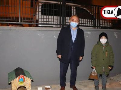 Kedisine Ev İstedi Belediye Başkanı Sürpriz Yaptı!