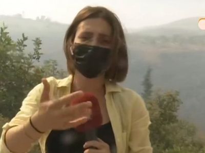 Bodrum'da Yanan Bölgeden Haber Sunan Muhabir Gözyaşlarını Tutamadı