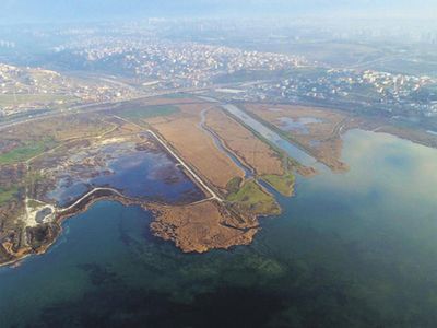 Böyle Yorum Görülmedi! Kanal İstanbul için ‘Dünyada Deniz Taşımacılığı mı Kaldı?’ Dedi