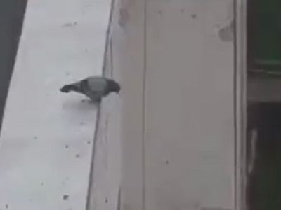 Böyle Veda Görülmedi!