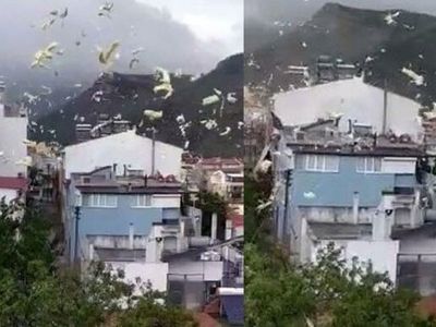 Çanakkale'de Fırtına Nedeniyle Evin Çatısı Uçtu