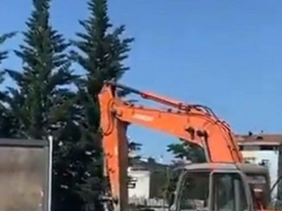 CHP’li İBB Ağaçları Kesiyor!