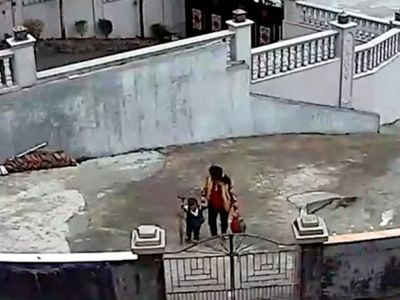 Çin'de Büyükanne ve Torunu Yıkılan Ağaçtan Son Anda Kurtuldu
