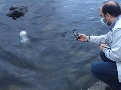 Deniz Yüzeyinde Bulunan Cisim Polis Ekiplerini Harekete Geçirdi!