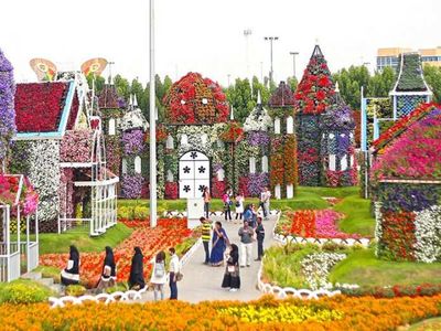 Dubai Miracle Garden: Çölün Ortasında Dünyanın En Büyük Çiçek Bahçesi