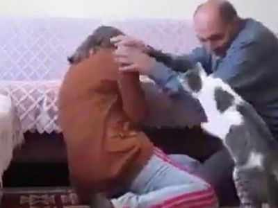 Eşine Şiddet Uygulayan Adamı Durduran Kedi!