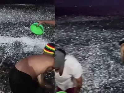 Filipinler'de hayrete düşüren anlar! Milyonlarca balık kıyıya vurdu: Kova kova topladılar! Kıyamet alameti...