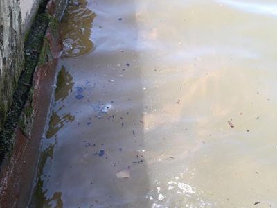 İzmir'de Çamur Gibi Akan Kirli Su Körfezin Rengini Değiştirdi