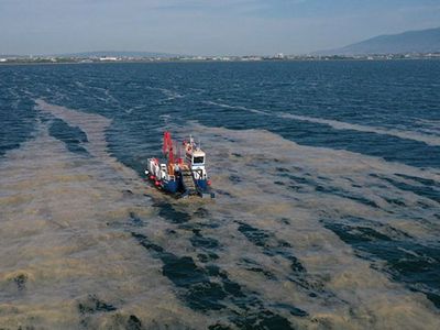 İzmit Körfezi’ndeki Deniz Salyası Temizleniyor