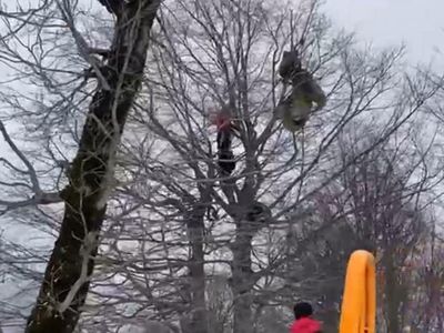 Kocaeli'nde Yamaç Paraşütü Yaparken Ağaçta Asılı Kaldı