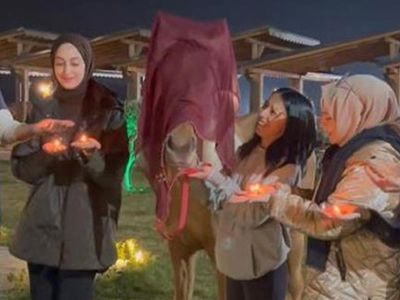 Kocaeli’ndeki düğün sosyal medyada tepki çekti: Gelin ve damadı görenler neye uğradığı şaşırdı