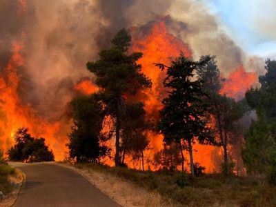 Kudüs’te Yangın Paniği! 2 Bin 650 Dönüm Arazi Küle Döndü