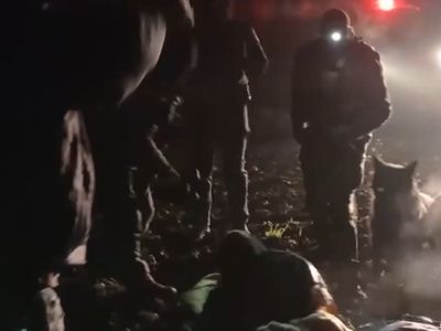Litvanya’da İnsanlık Dramı: Göçmenlerin Üzerine Köpek Saldılar