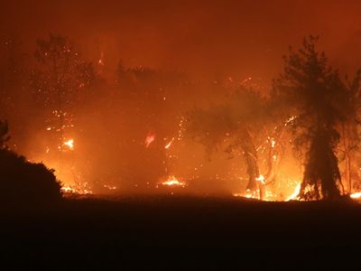 Manavgat'ta Çıkan Yangında Bir Çiftçi Yaşadığı Zorlukları Anlattı