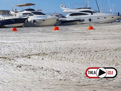 Marmara Denizi'ndeki Deniz Salyası Yakından Görüntülendi: Betonla Kaplı Gibiydi