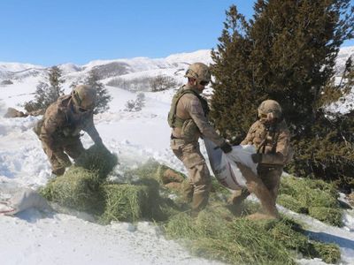 Mehmetçik Yaban Hayvanlar İçin Kırsal Kesime Yem Bıraktı