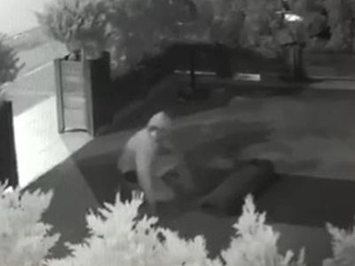 Mersin'de Halı Hırsızı Kamerada