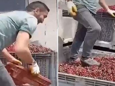 Meyve Suyu Üretim Tesisinden Mide Bulandırıcı Görüntü! Ayakkabısıyla Çiğnedi...