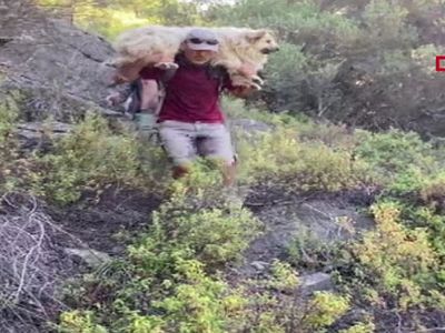 Muğla'da Bulunan Kayıp Köpeği Ekipler Sırtında Taşıdı