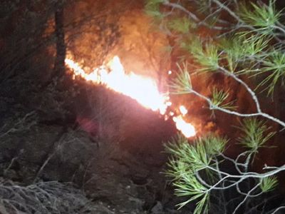 Muğla'da Çıkan Yangında 29 Hektar Zarar Gördü