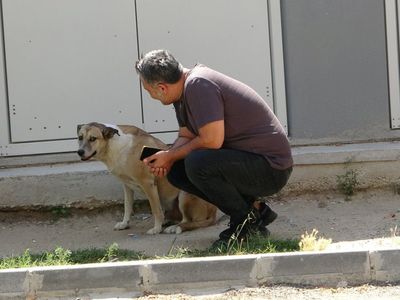Paylaşım Rekorları Kıran Videonun Ardından Hayvansever Özay Kaya Açıklamalarda Bulundu