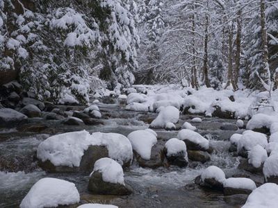 Rize'de Kar Yağışı Etkili Oldu