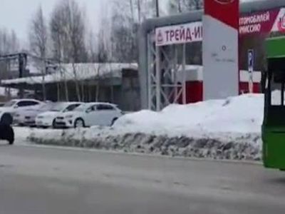 Rusya'da Kente İnen Ayı Görenleri Korkuttu