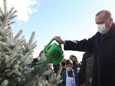 Son Dakika: Cumhurbaşkanı Erdoğan'dan 5 Haziran Dünya Çevre Günü Mesajı!
