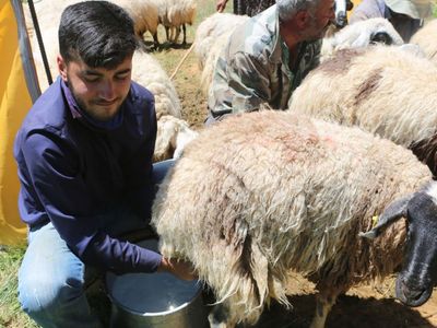 Tunceli’deki Çobanın Robert Kolejine Uzanan Başarı Öyküsü