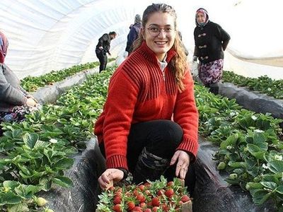 Üniversite Mezunu 22 Yaşındaki Kız Altın Değerinde Çilek Üretimine Başladı